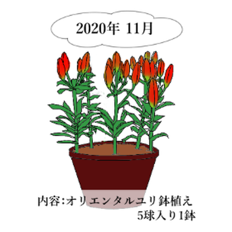 5ee80e0fd26fa57dca52c7dd