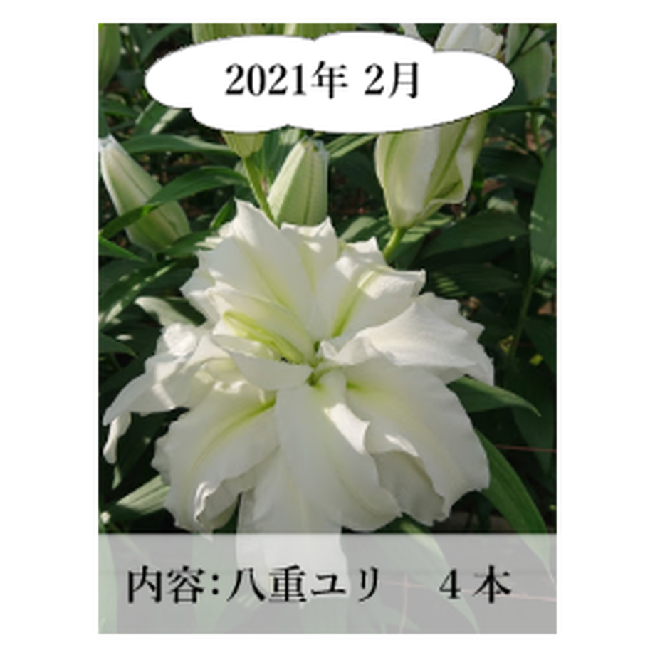 5ee80e0fd26fa57dca52c7dd