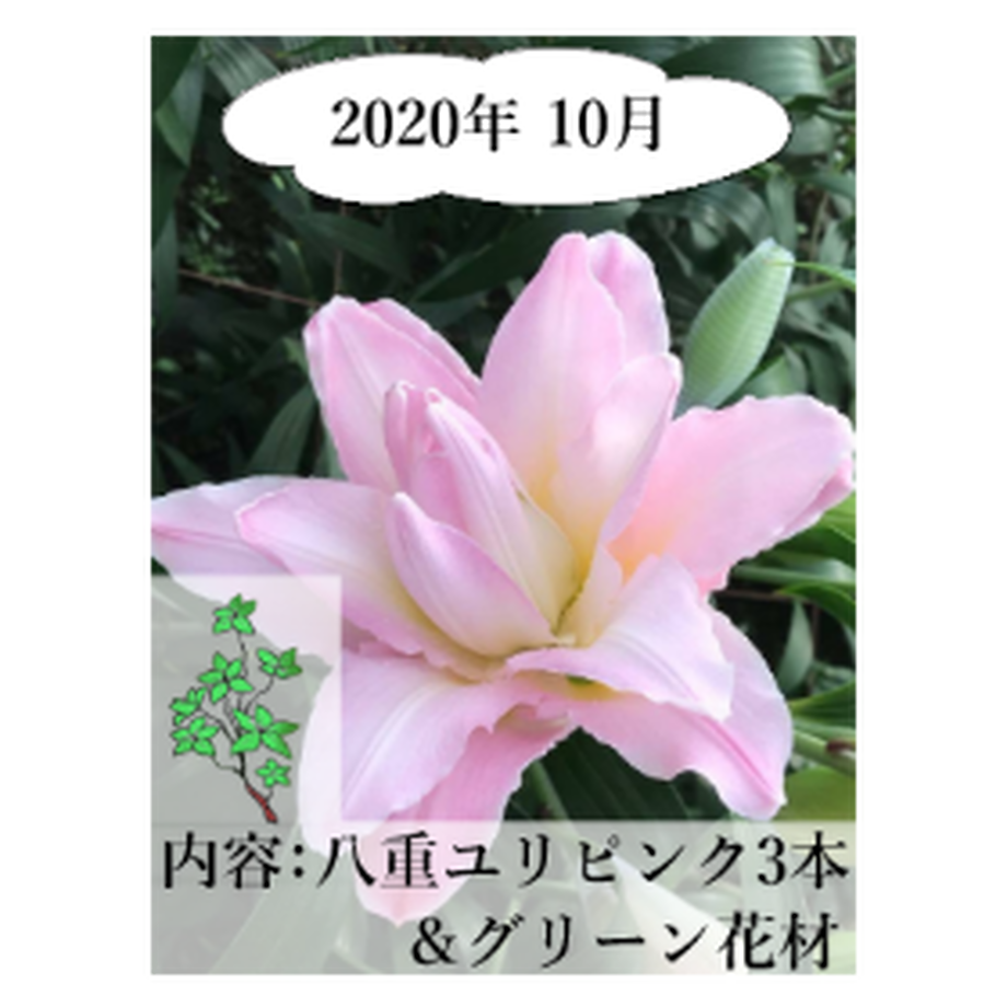 5ee80e0fd26fa57dca52c7dd