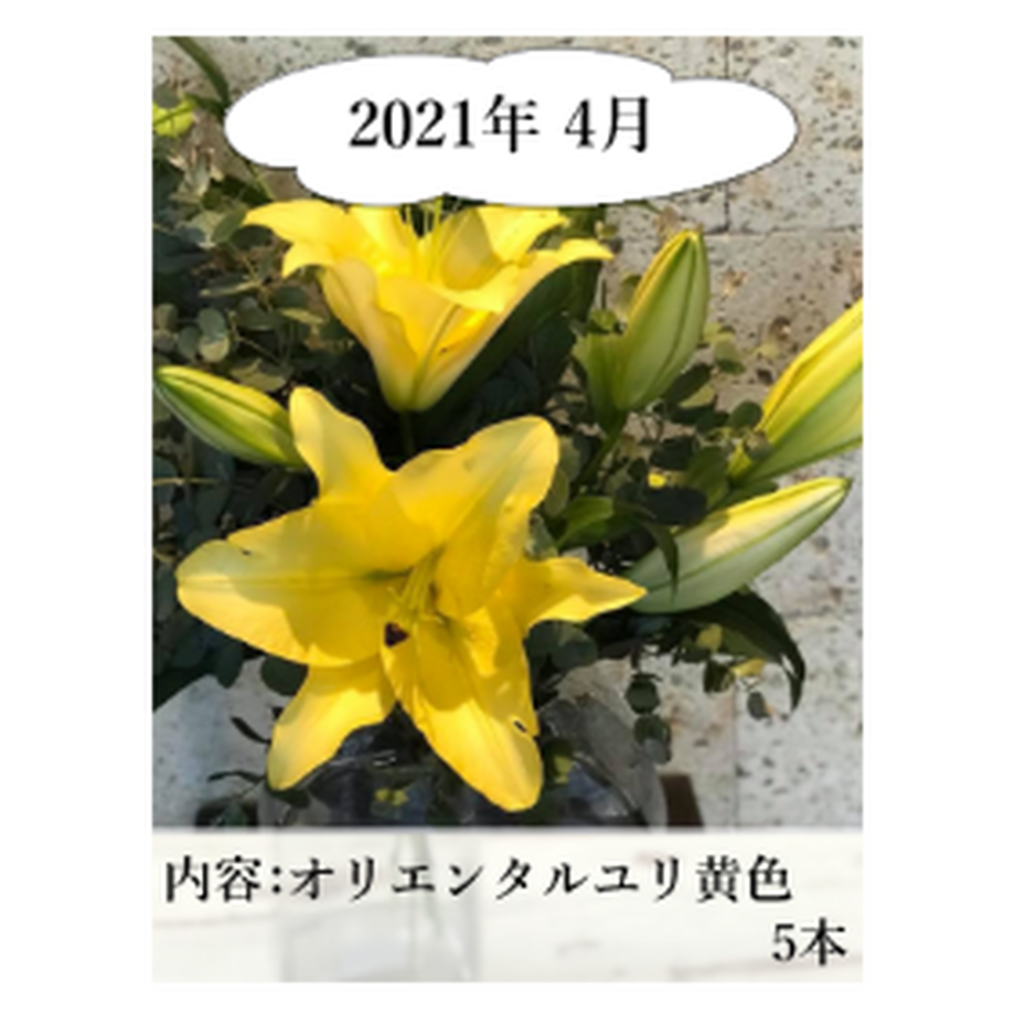 5ee80e0fd26fa57dca52c7dd