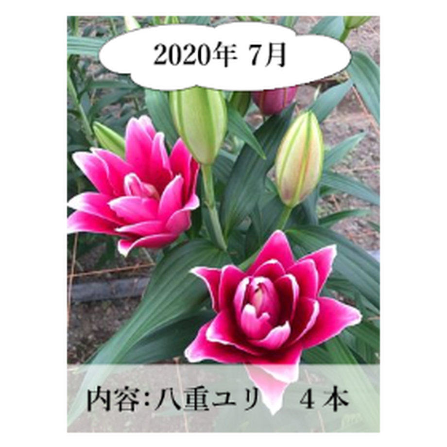 5ee80e0fd26fa57dca52c7dd