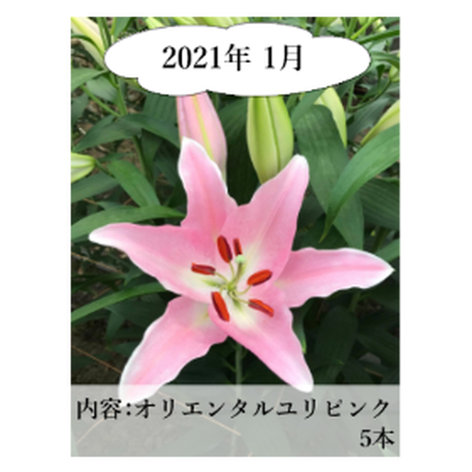 5ee80e0fd26fa57dca52c7dd
