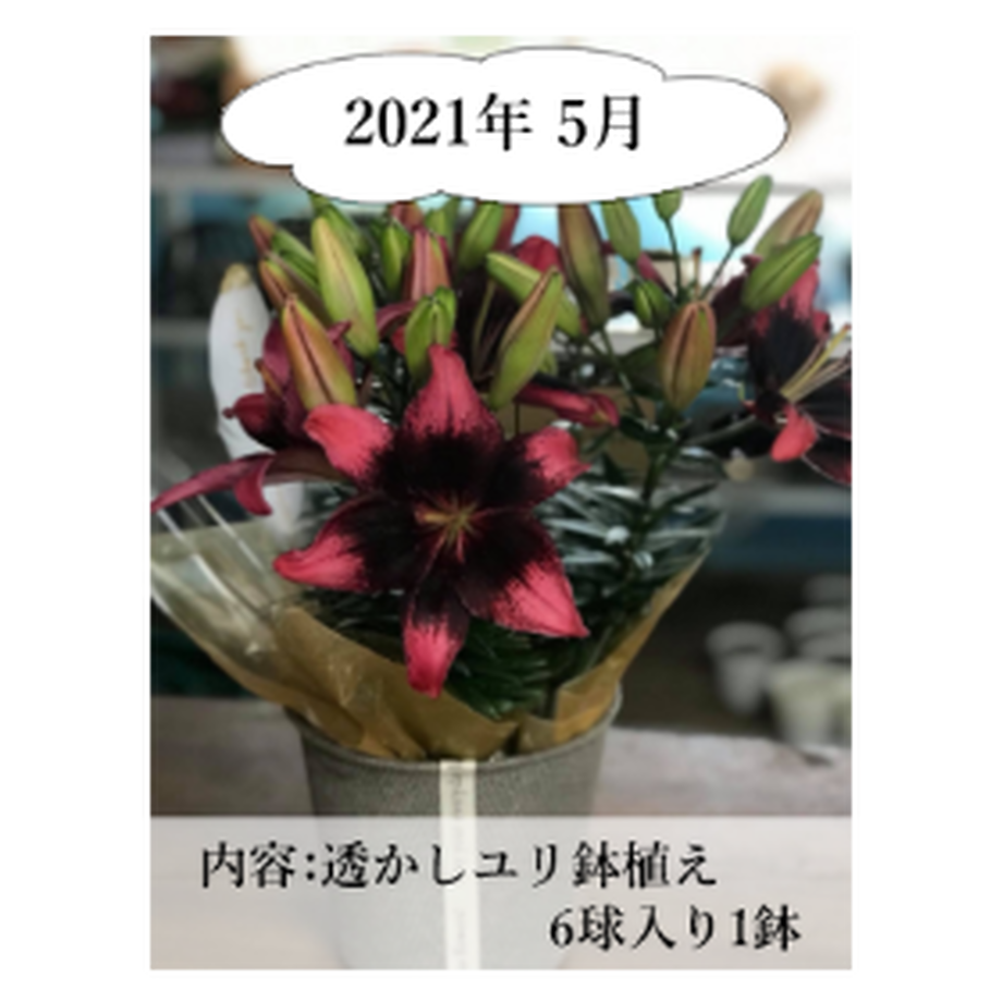 5ee80e0fd26fa57dca52c7dd