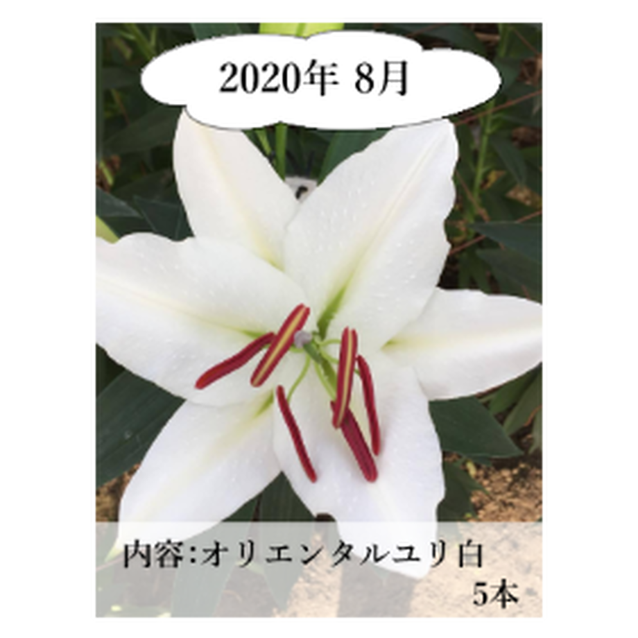 5ee80e0fd26fa57dca52c7dd