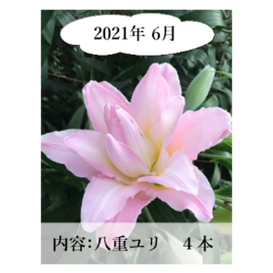 5ee80e0fd26fa57dca52c7dd