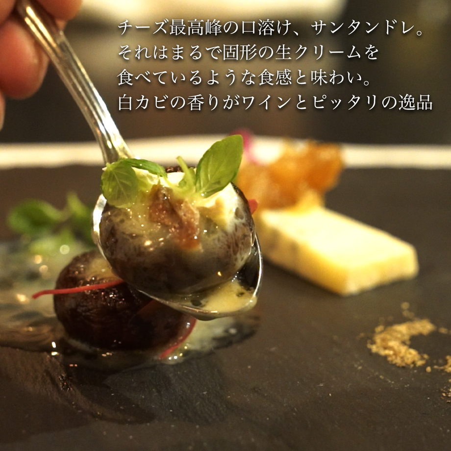 5ecdea9755fa03575853e66d