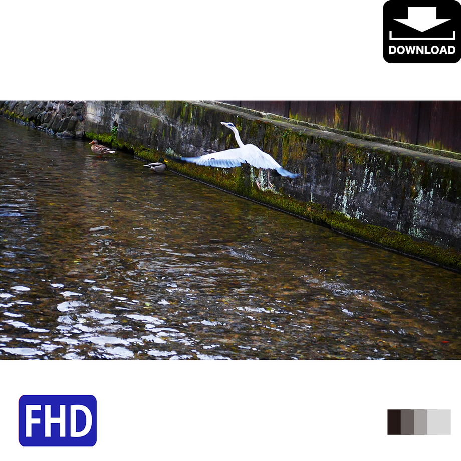 5a978650ef843f352d0014b8