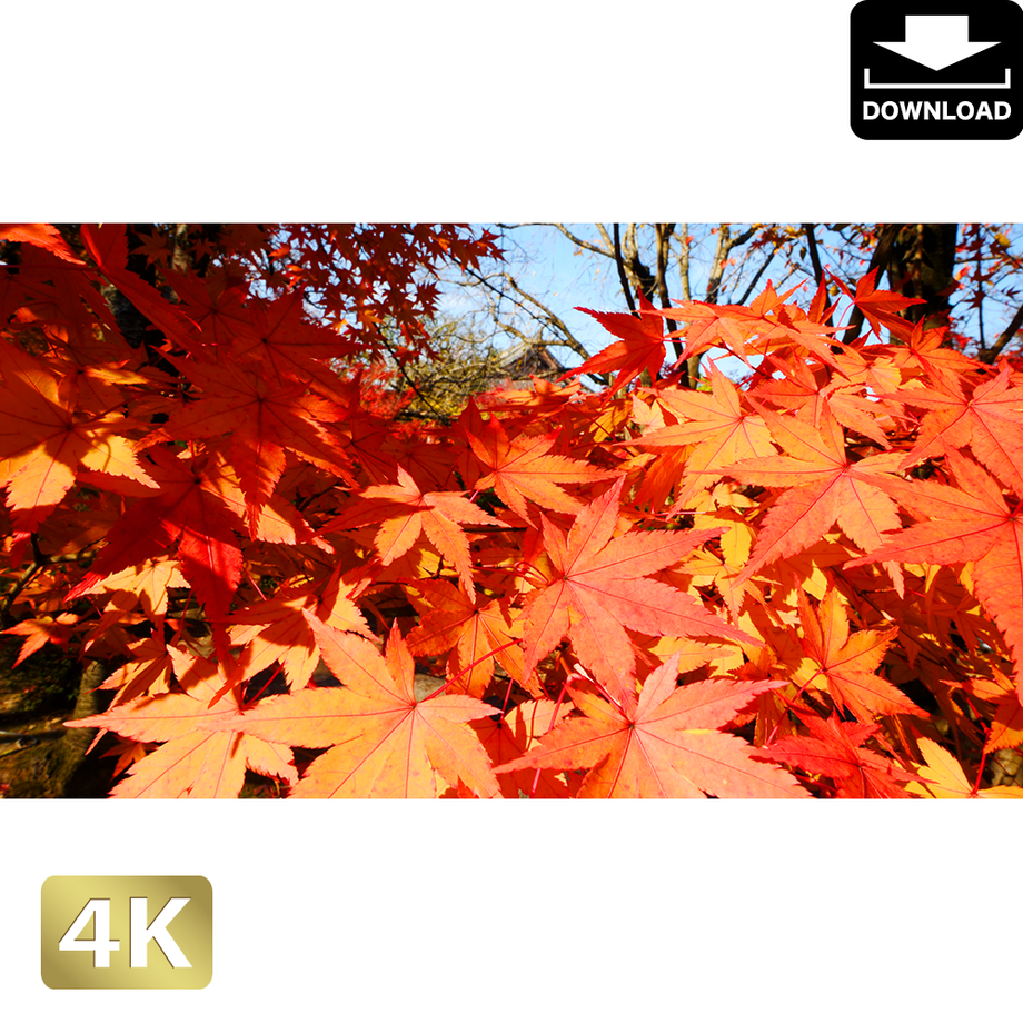5ac04aa2ef843f14ba00018e
