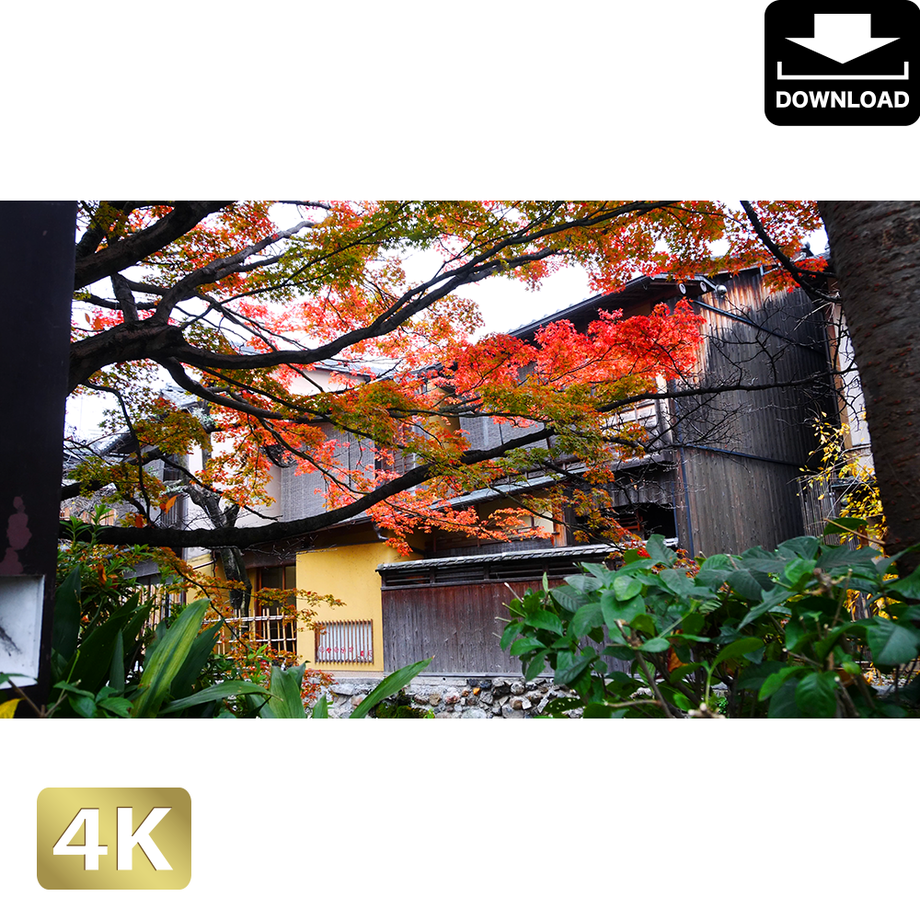 5ac04dc55f78661350001c3d