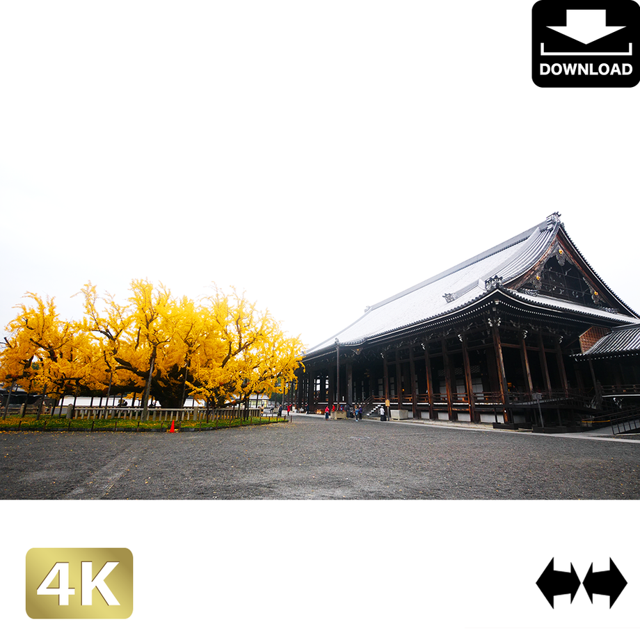 5ac04e9eef843f26640001b8