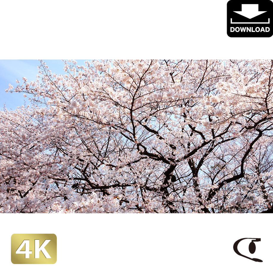 5aac628e6bf1395f1800085d