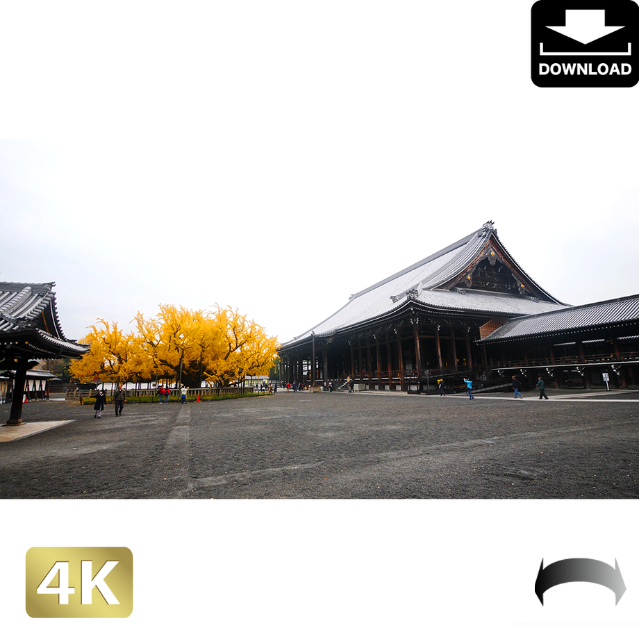 5ac051dc434c72546200017b