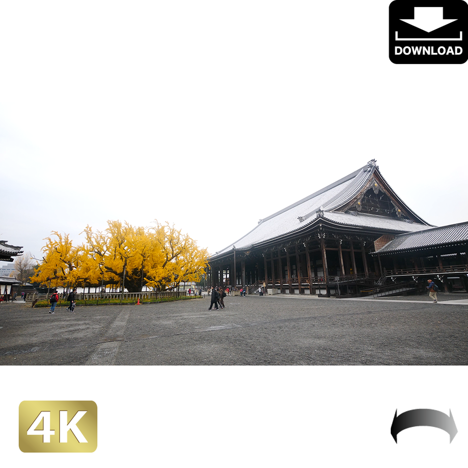 5ac051af5f786626d1000019