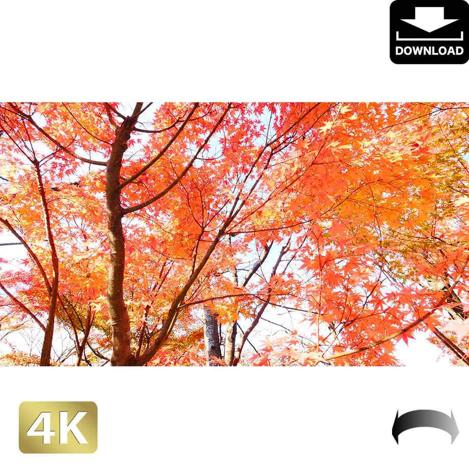 5ac04a06434c723b5b0000cb