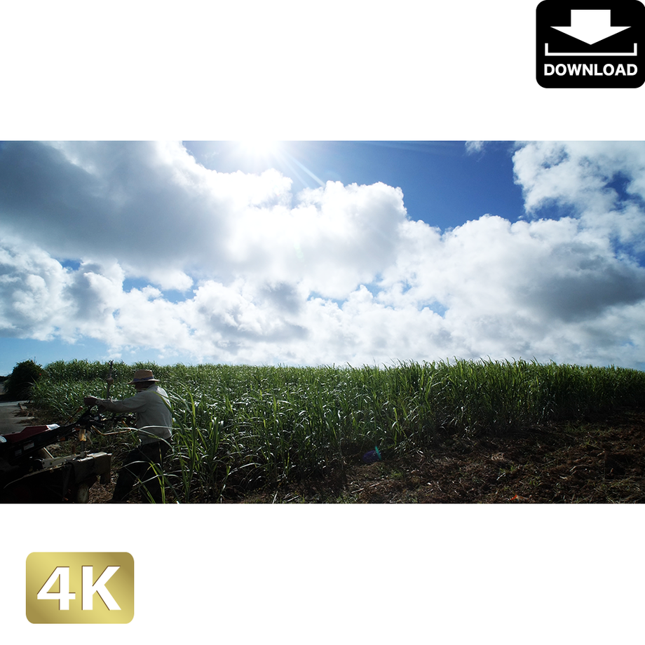 5ab6f9aa50bbc34ff4000654