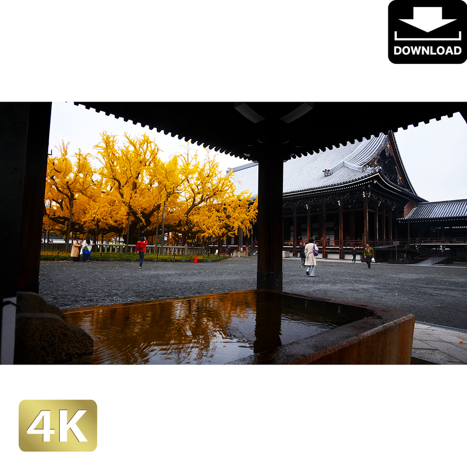 5ac052175496ff7d2d0000e1