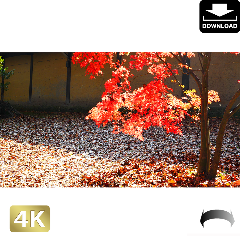 5ac047a85f7866777100003b