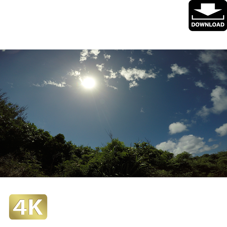 5aa766000af15b641f001142