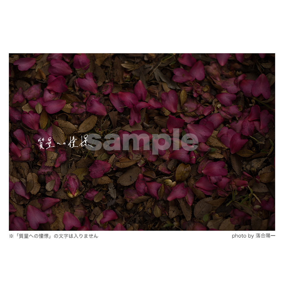 5d77807bd0f256789f338a15
