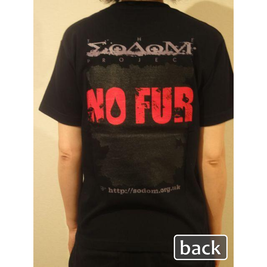 538b18ee3e7a4adf17001454