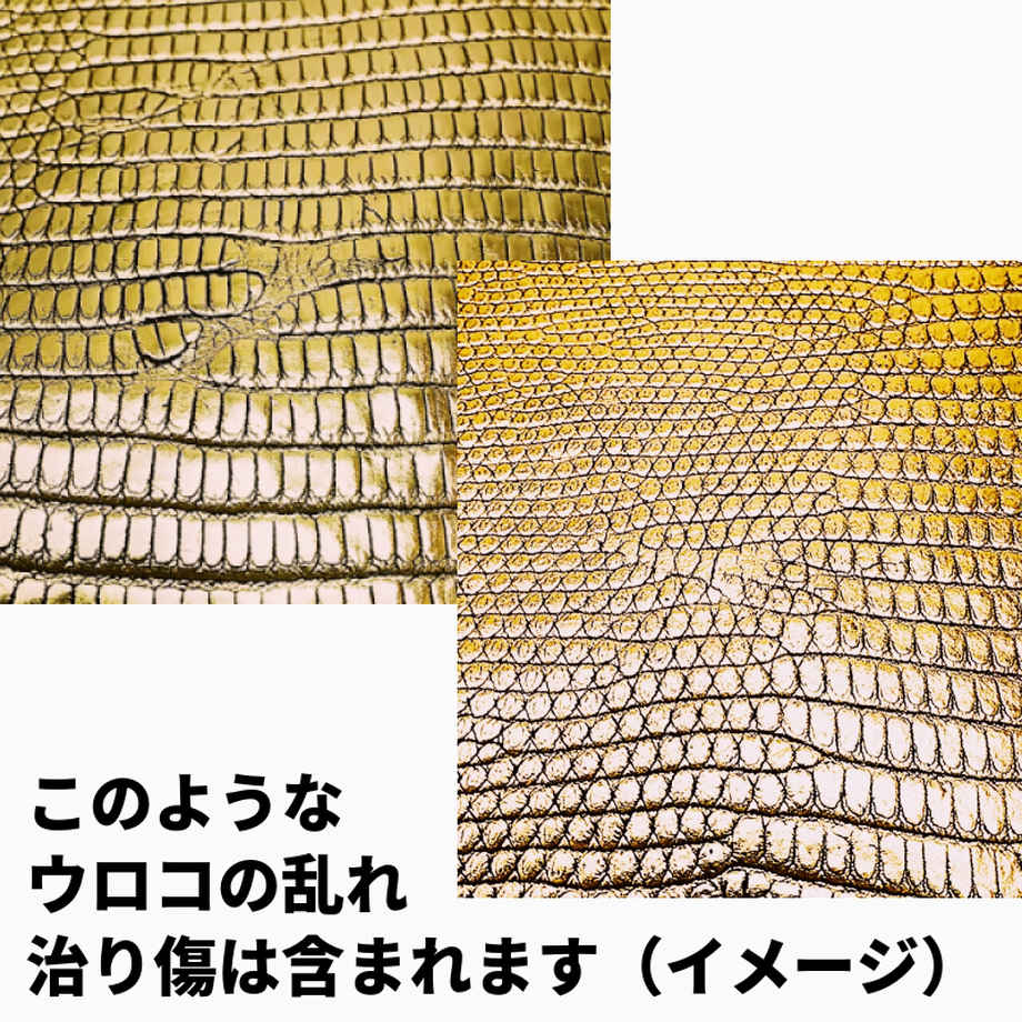 5faf4bfbda019c547219de7c