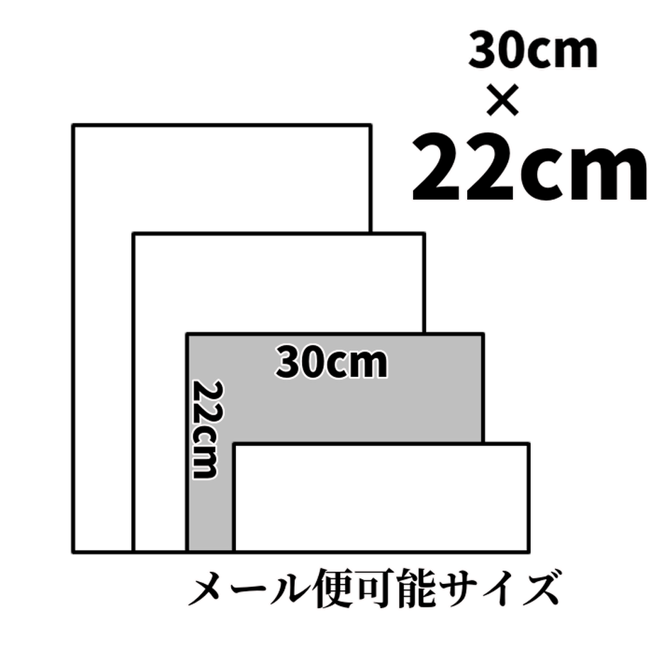 5f3202c5791d027f383c59b6