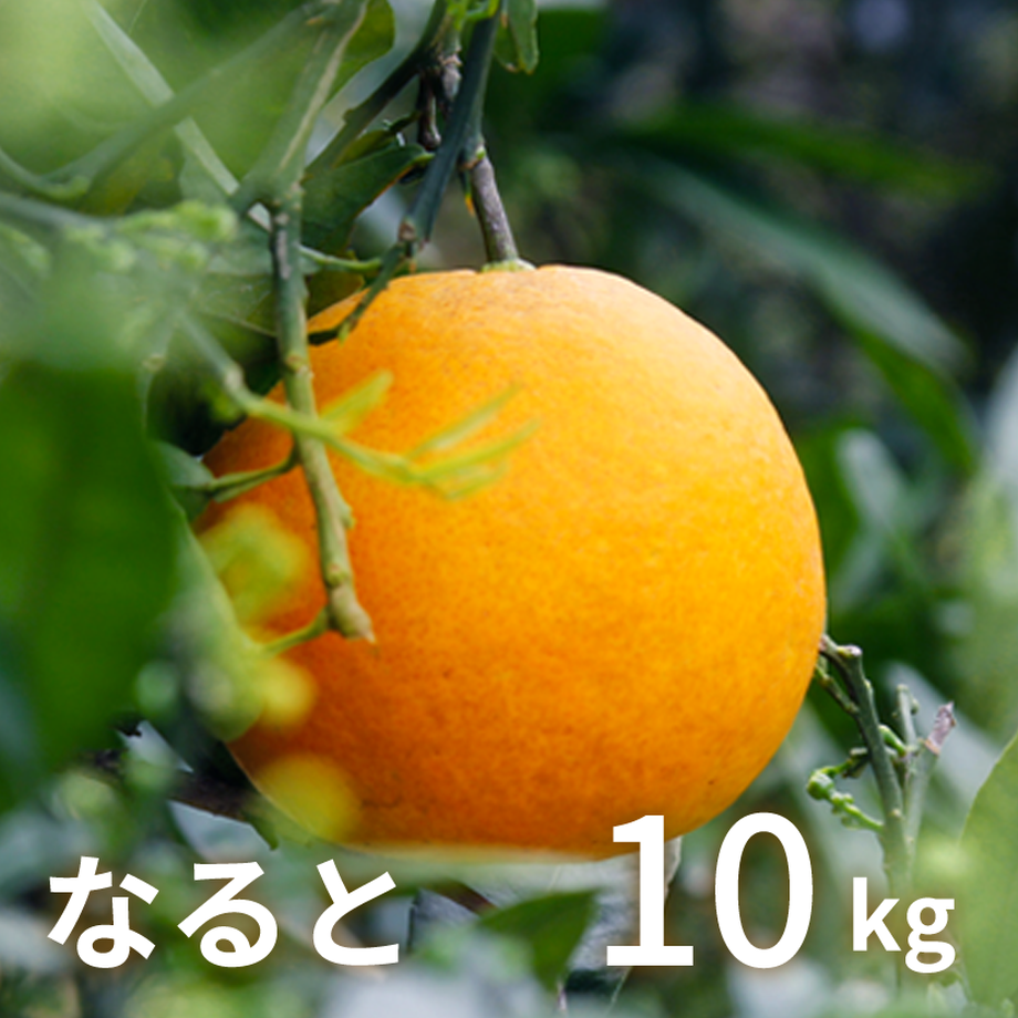 5a83be93f22a5b70db00090b