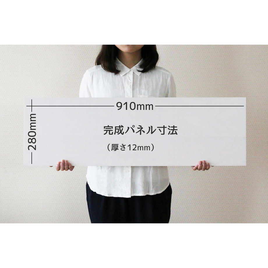 55062e463bcba96659001a0e