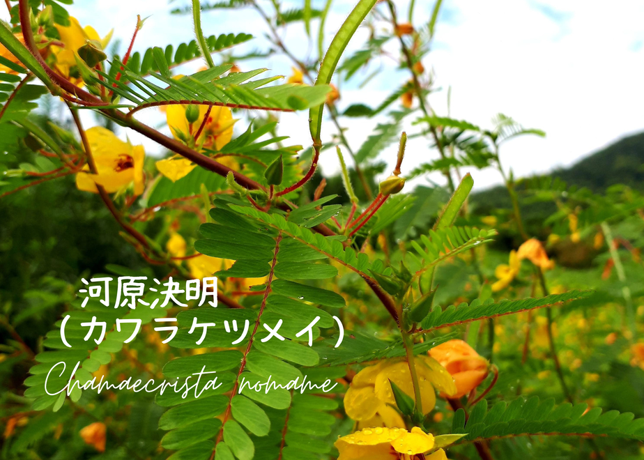 62bd1e654ff8c21e018c2602