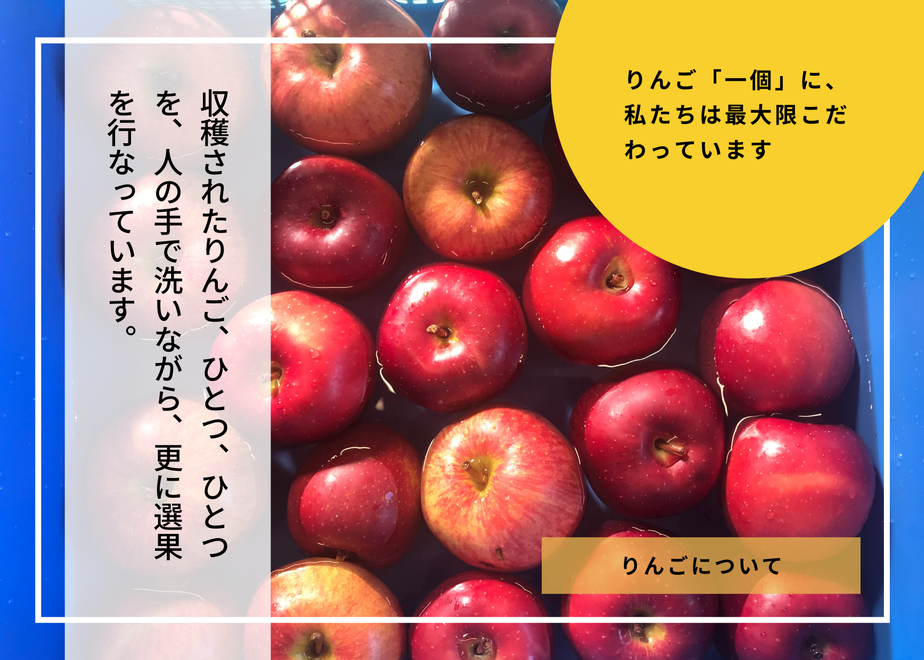 615fb13ca1027551fd0c1dbe