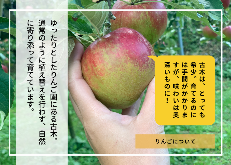 62189a580020fc0523932bb8