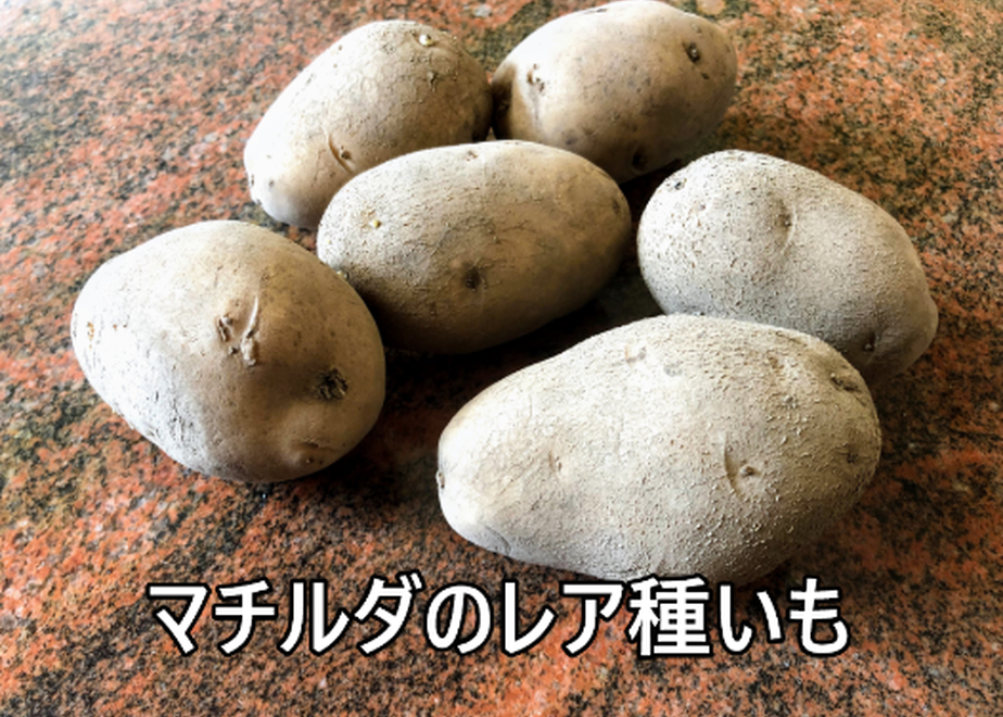605d09f0d5e9c94b51d42c99
