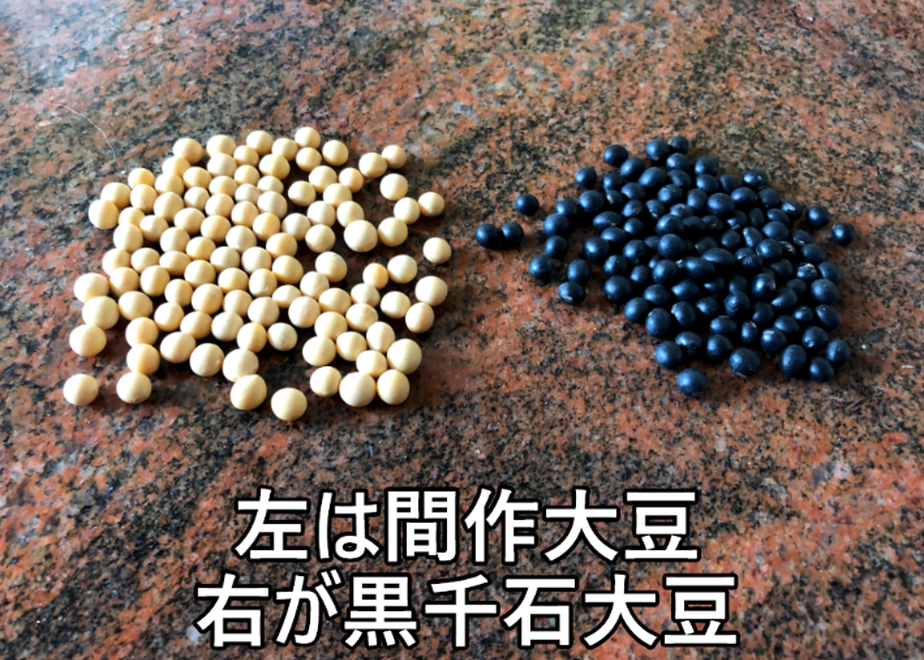 601511fb6728be6a038c2ab6
