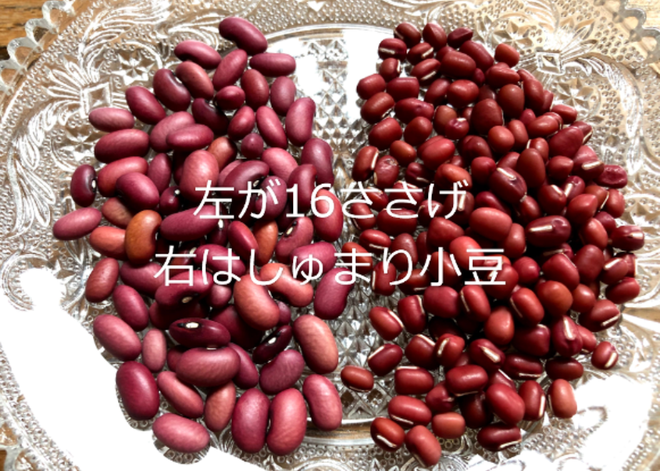 5ff413e1b00aa3570fc39a4f