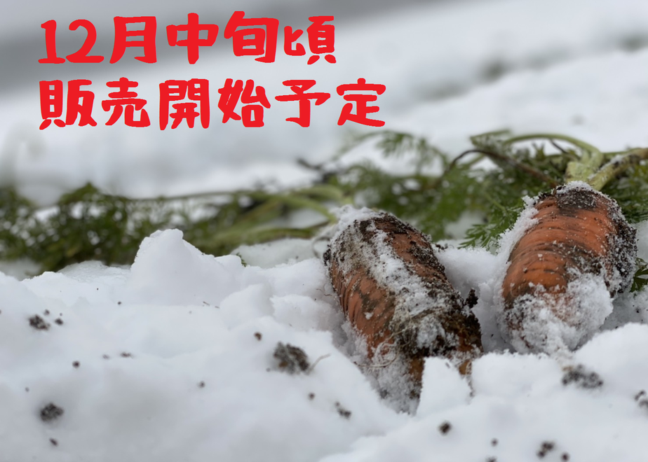 5fbcd669df51597a810d9239