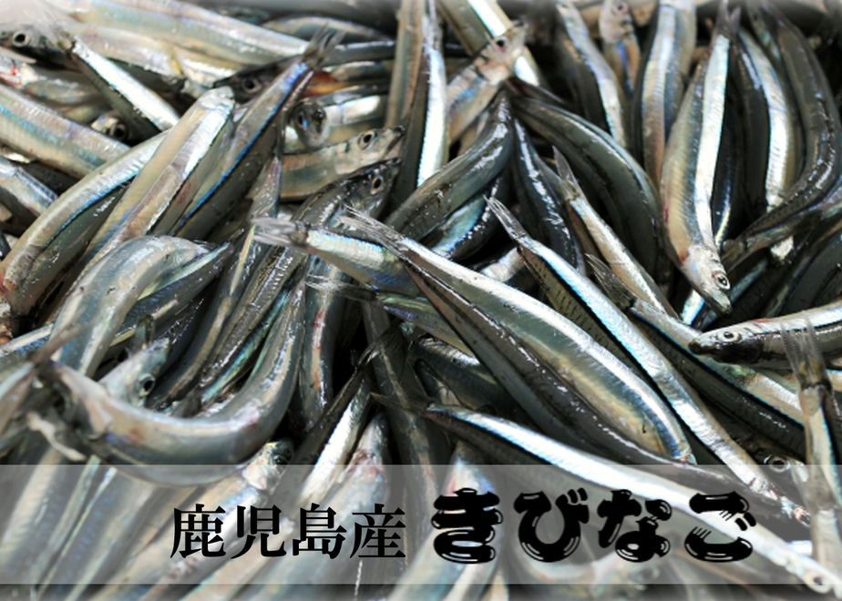 5f2bc53a791d020f558764cc
