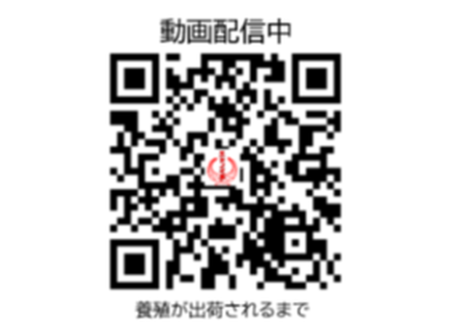 5fc4d7dddf51593572e0e768