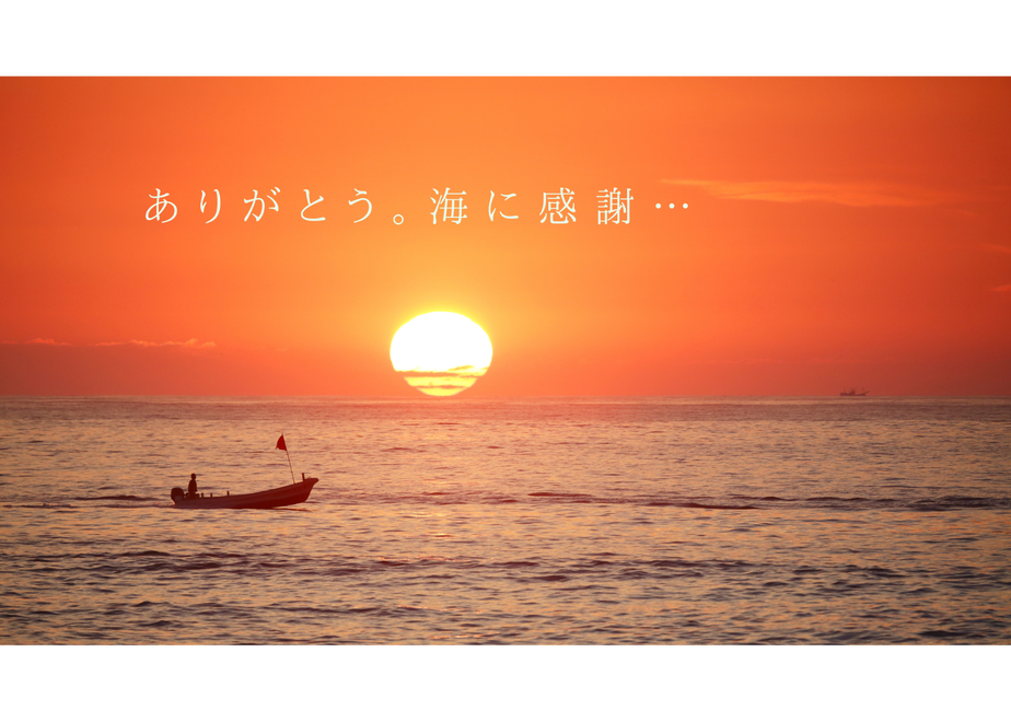 5fbb6ba98a457244c9db5efb