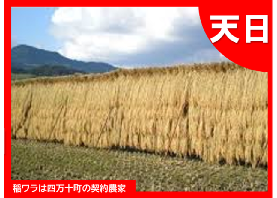 5f7298a093f6193d3fea1dec