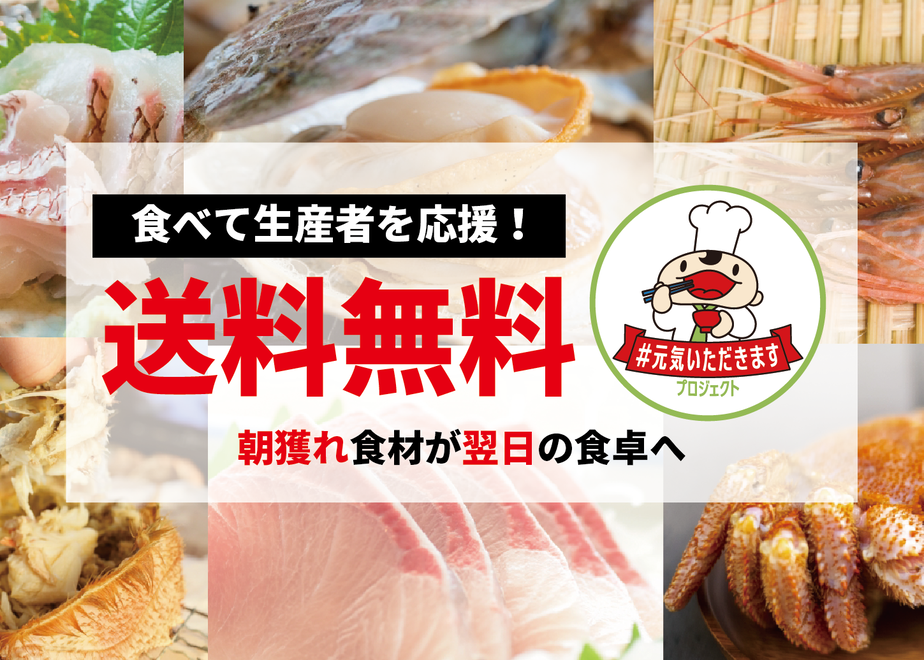 5feac88172eb462c6e1ad80b