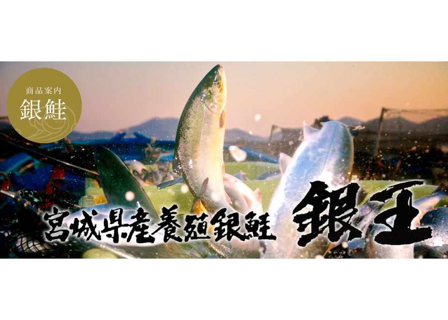 5f8e2cb38ac39417164f70c0