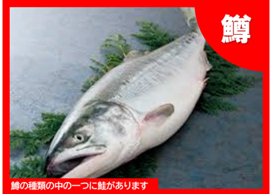 5f9a2e3d9a06e54a0977b3dc