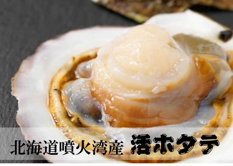 5fd33a188a457258f14459b2