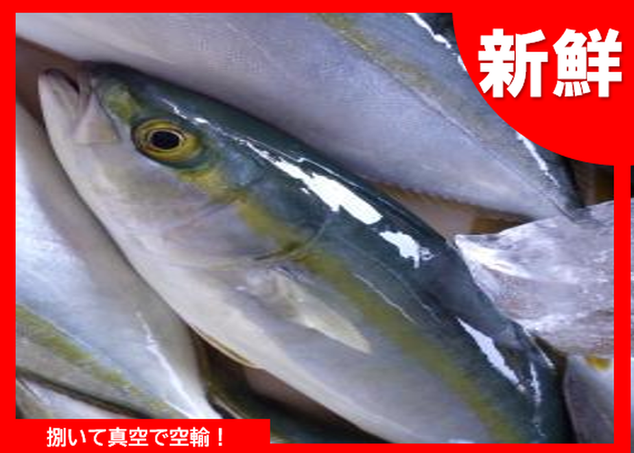 5f2bb604d7e1d849cb619176