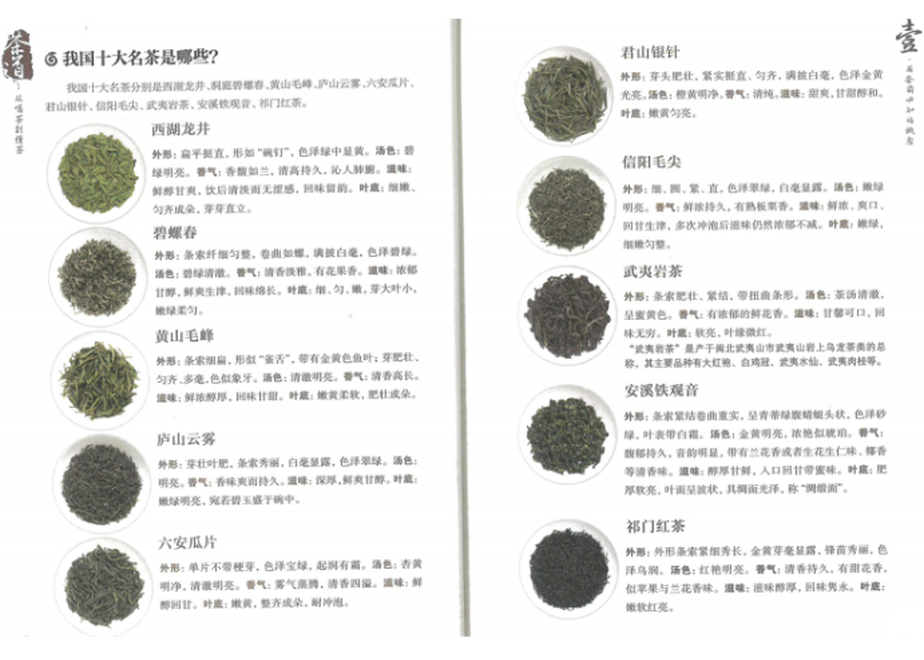 62b134484280464bee73a9cb
