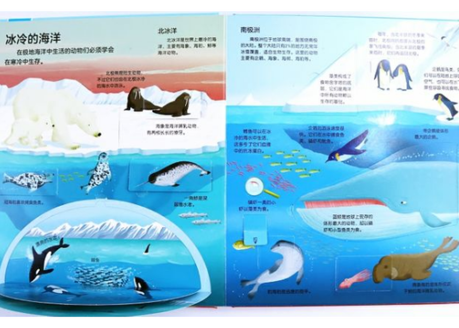 62d64512b5285a394369d836