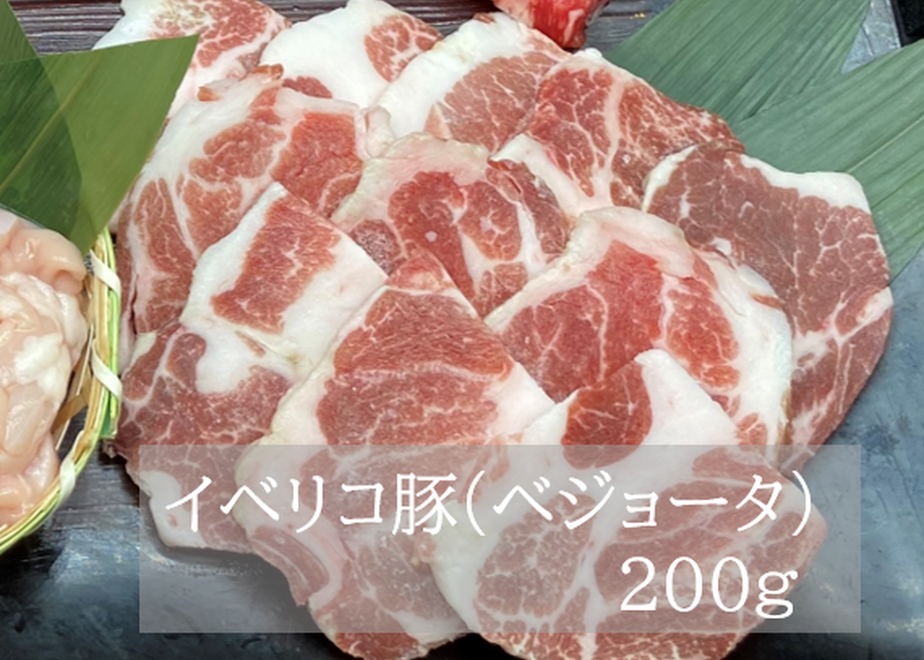 6054b2e29dbfee4e4b4a5500