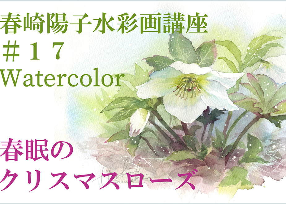 6248f511688c44032e43cb40
