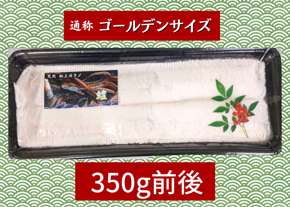 6384d08bf3de5c5ef029e39e
