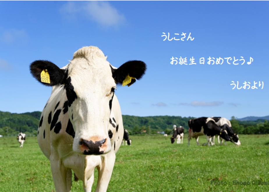 62a5596af405a11008ab2d84